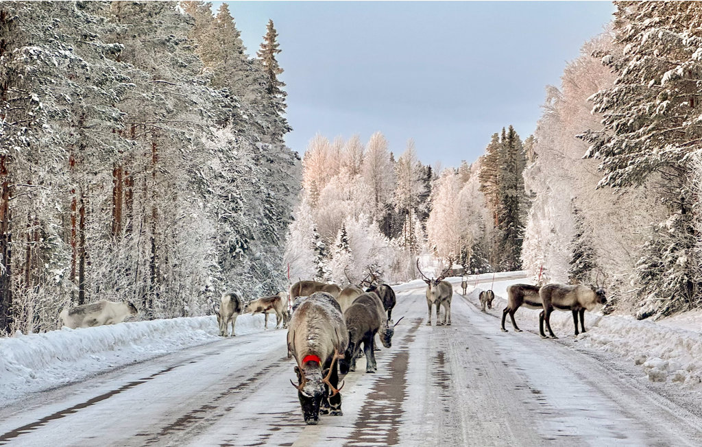 Feriehuse - Strömsund , Sverige - S90089 21