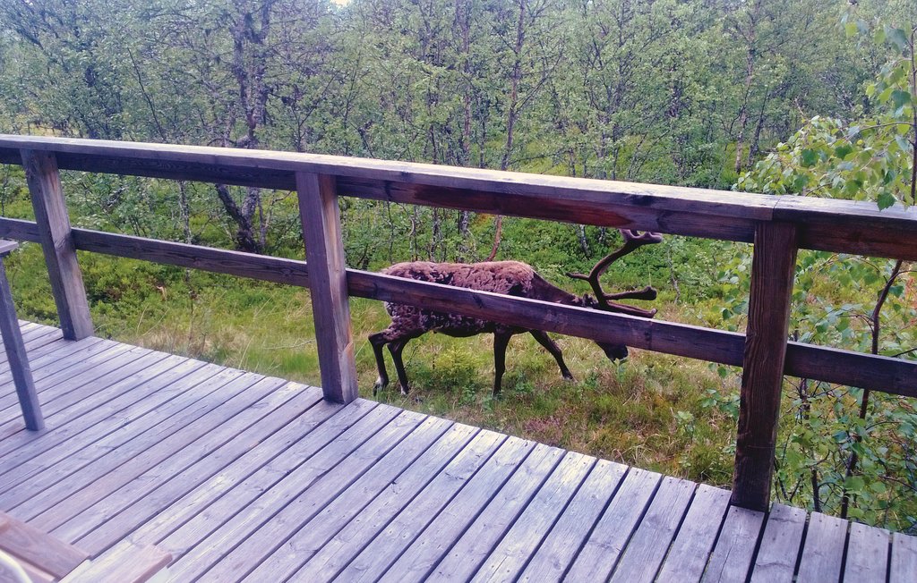 Stuga i Lofsdalen, 8 bäddar – bild 2 av 5