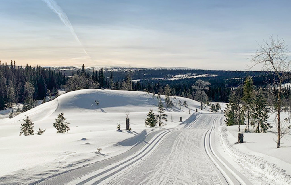 Feriehuse - Rörvattnet/Jämtland , Sverige - S95068 17