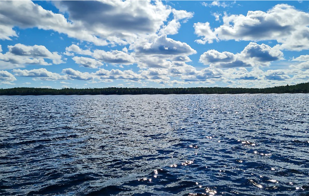 Semesterhus - Storsävarträsk/Vindeln , Sverige - S95071 7