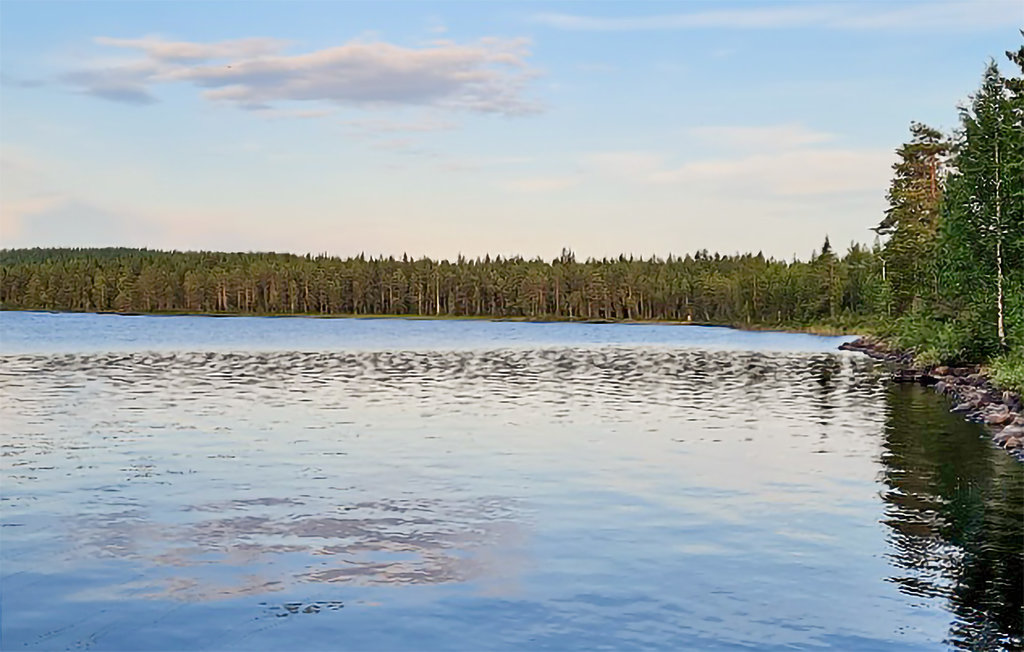 Semesterhus - Storsävarträsk/Vindeln , Sverige - S95071 8
