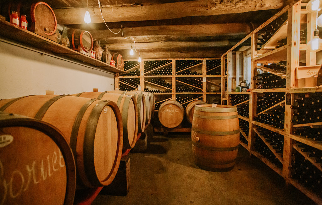 Ferienhaus - Kozina - Ocizla , Slowenien - SCR321 15