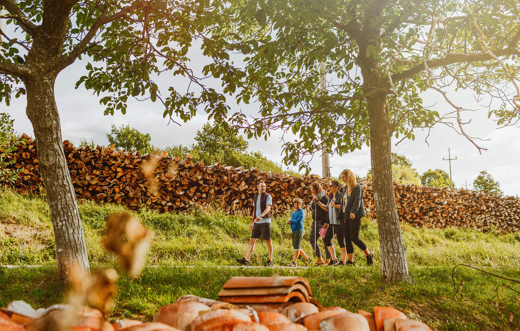 Ferienhaus - Kozina - Ocizla , Slowenien - SCR321 9