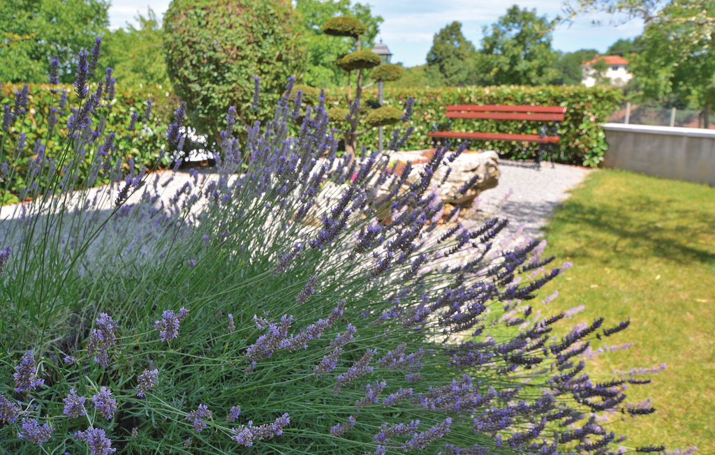 Feriehuse - Sezana , Slovenien - SCR270 14