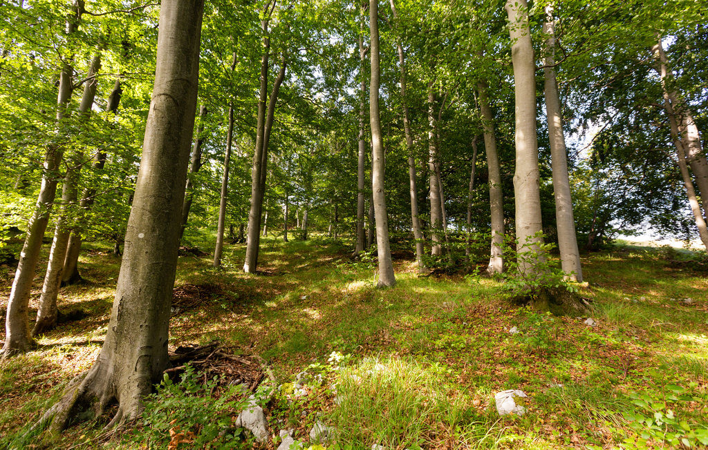 Ferienhaus - Col , Slowenien - SCR310 12