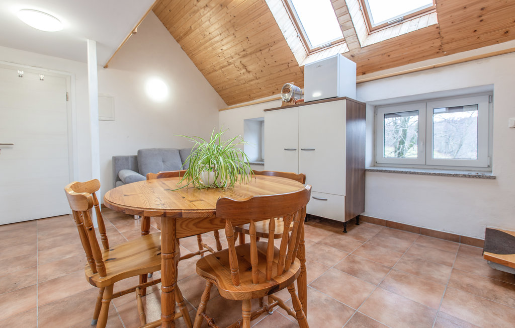 Ferienwohnung - Col , Slowenien - SCR339 9