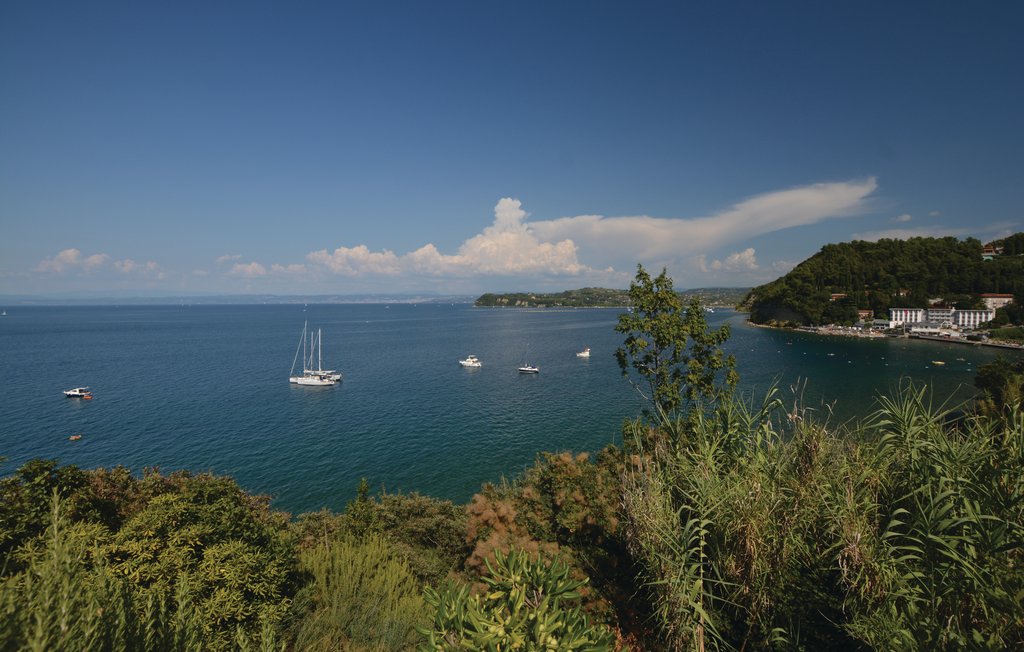 Ferienwohnung - Piran , Slowenien - SCR288 10