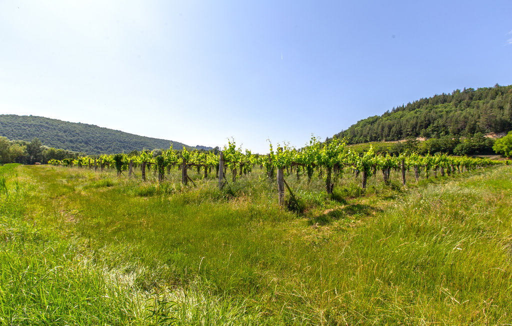 Ferienhaus - Portoroz-Krkavce , Slowenien - SCR100 18