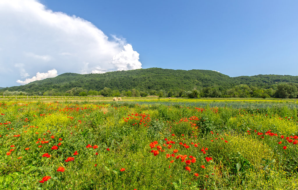 Ferienhaus - Portoroz-Krkavce , Slowenien - SCR100 17