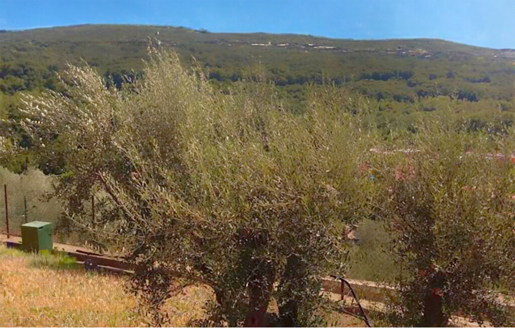 Ferieleilighet - Coast , Slovenia - SCR344 8