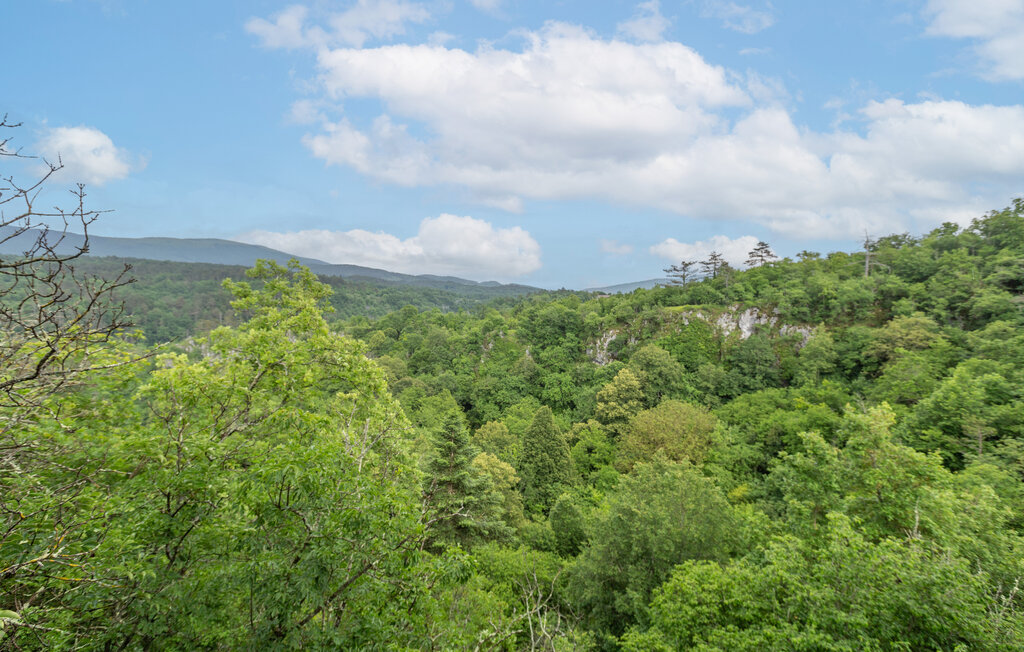 Ferieleilighet - Coast , Slovenia - SCR346 16