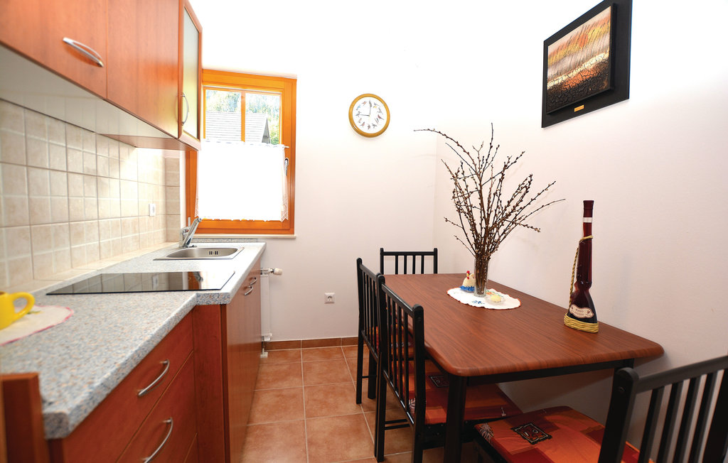 Ferienwohnung - Goriska-Bovec , Slowenien - SER200 10