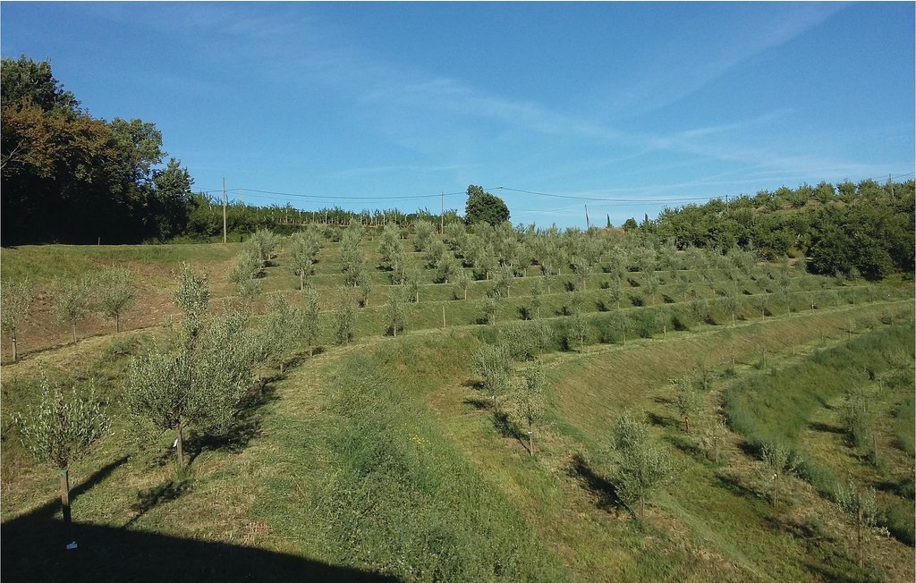 Ferienhaus - Nova Gorica-Kojsko , Slowenien - SER129 64