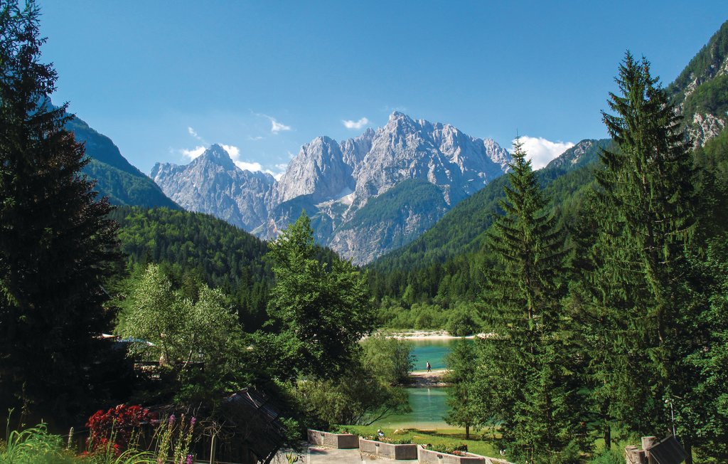 Ferienwohnung Kranjska Gora