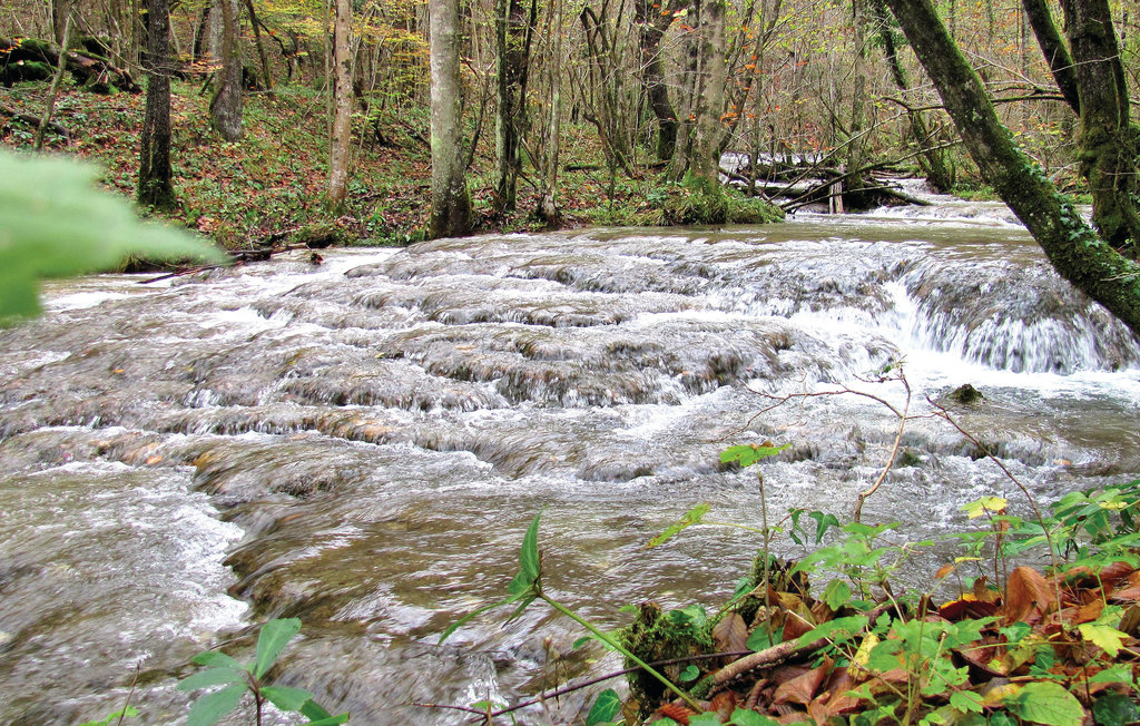 Ferienhaus - Kocevje-Kostel , Slowenien - SSE129 24