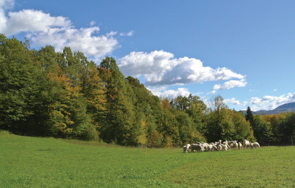 Ferienhaus - Kocevje-Kostel , Slowenien - SSE129 27