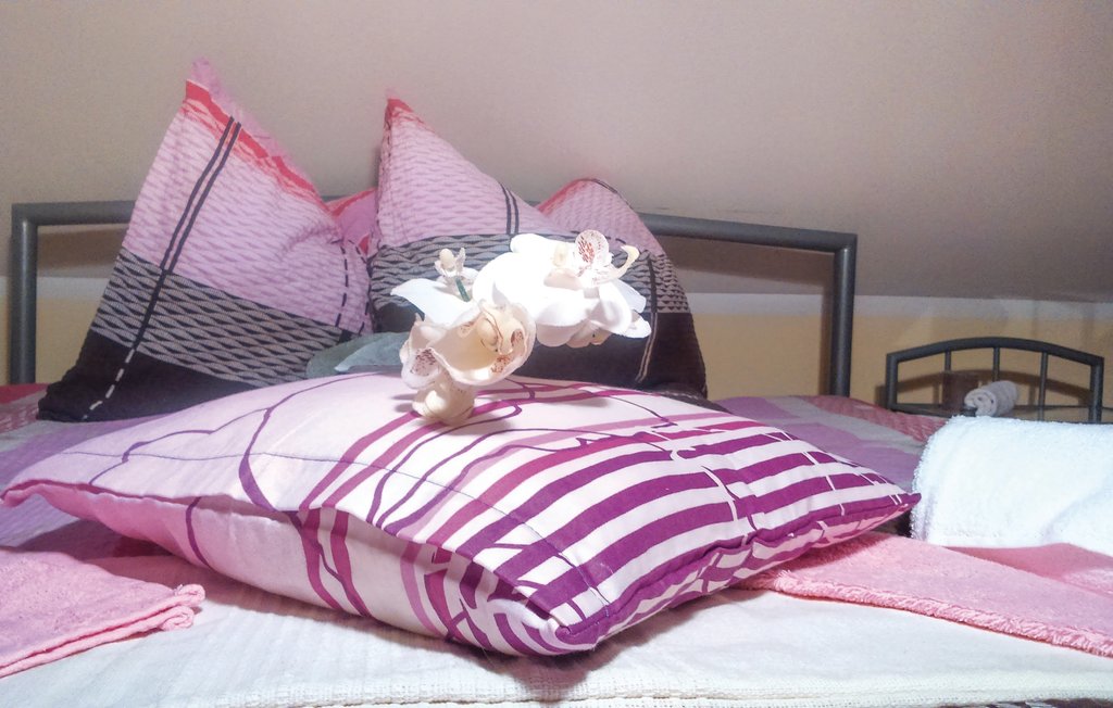 Feriehus - Crnomelj-Gradac , Slovenia - SSE127 13