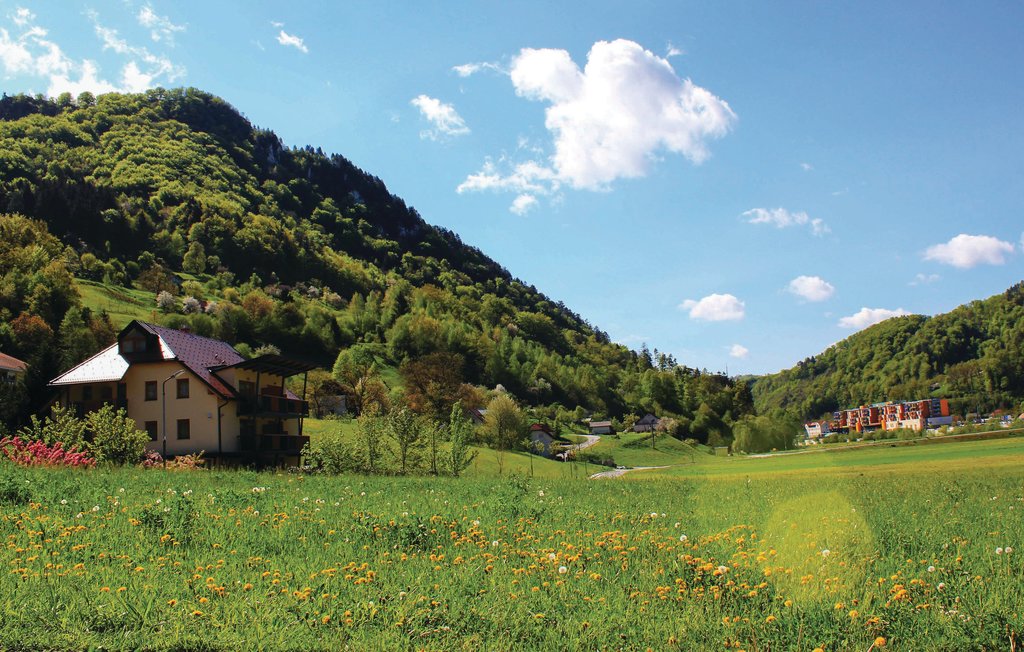 Lejlighed - Celje-Lasko , Slovenien - SSR117 14