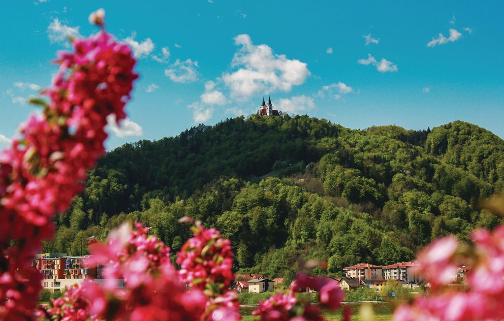 Lejlighed - Celje-Lasko , Slovenien - SSR118 14