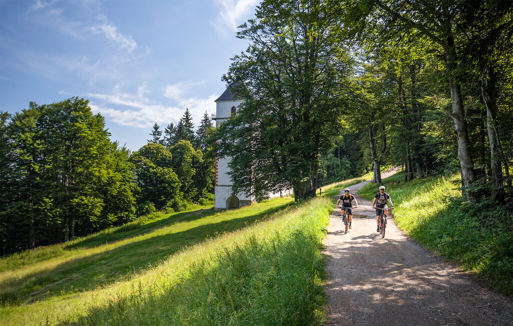 Lejlighed - Hocko Pohorje , Slovenien - SSR068 15
