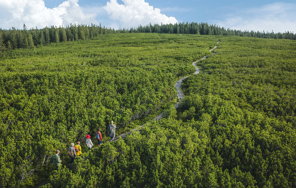 Lejlighed - Hocko Pohorje , Slovenien - SSR068 16