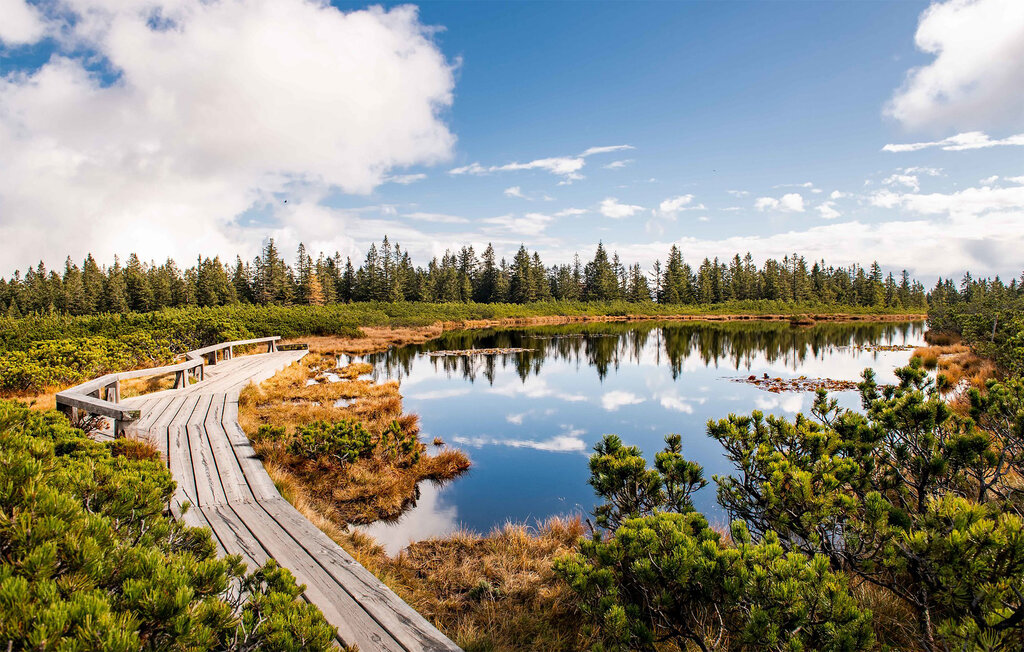 Lejlighed - Hocko Pohorje , Slovenien - SSR068 9