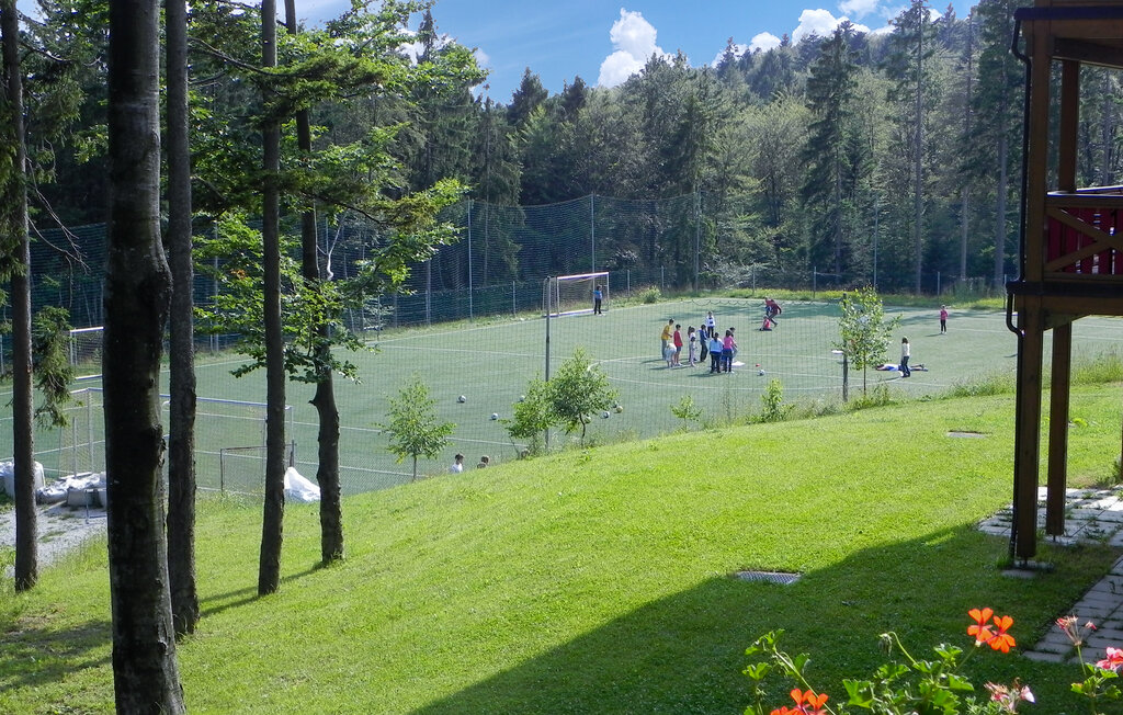 Ferienwohnung - Hocko Pohorje , Slowenien - SSR071 13