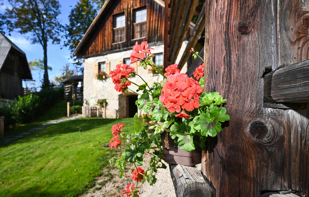 Doe nieuwe energie op in het vakantiehuis met panoramisch uitzicht op het prachtige landschap.

Deze charmante vakantiewoning biedt je een onvergetelijke vakantie met een adembenemend panoramisch uitz..