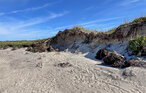Feriehuse - Skagen Strand , Danmark - A01127 25