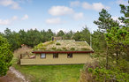 Semesterhus - Bolilmark , Danmark - A1033 5