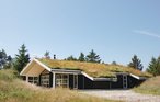 Feriehus - Blokhus , Danmark - A13455 4