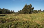 Feriehus - Blåvand Strand , Danmark - A3103 22