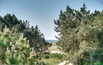 Feriehus - Blåvand Strand , Danmark - A3103 14