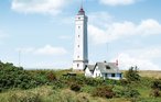 Feriehus - Blåvand Strand , Danmark - A3368 23