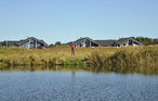 Semesterhus - Søndervig/Lodbjerg Hede , Danmark - A4314 22