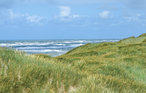 Feriehus - Søndervig Strand , Danmark - A4749 38