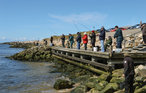 Feriehus - Thorsminde Strand , Danmark - A5087 17