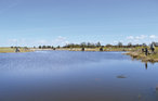 Feriehus - Skalstrup Strand , Danmark - A5111 17