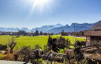 Apartment - Puch bei Hallein , Austria - ASA331 12