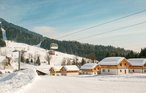 Feriehus - Altaussee , Østerrike - AST248 5