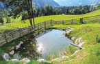Ferieleilighet - Schladming , Østerrike - AST034 9