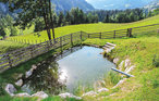 Ferieleilighet - Schladming , Østerrike - AST035 7