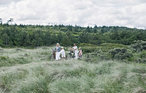 Feriehus - Skærbæk , Danmark - B1013 24