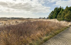 Ferienhaus - Vorupør , Dänemark - B18012 12
