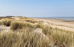 Ferieleilighet - Bredene , Belgia - BVA516 2