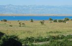 Ferieleilighet - Vir , Kroatia - CDA516 16