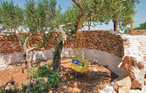 Feriehus - Brac-Povlja , Kroatia - CDB413 33