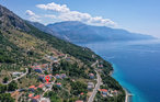 Omis-Mimice