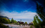 Feriehuse - Dubrovnik-Radovcici , Kroatien - CDD375 35