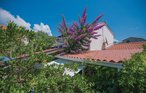 Feriehus - Hvar-Sucuraj , Kroatia - CDH372 10